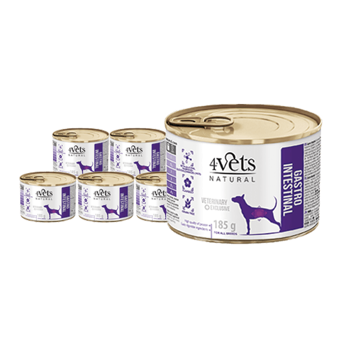 4Vets Gastro Intestinal 185g - 6er Pack